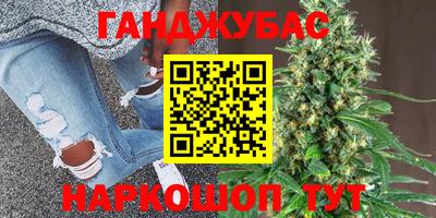 молекула духа Партизанск