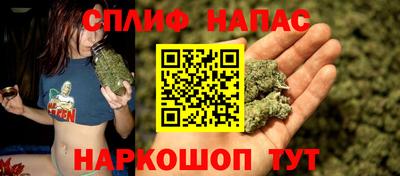 молекула духа Партизанск