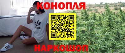 молекула духа Партизанск