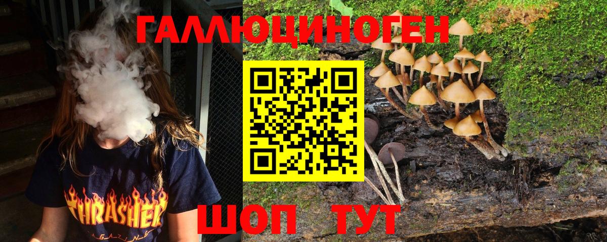 Псилоцибиновые грибы прущие грибы Реутов